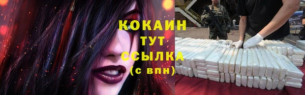 спиды Лагань
