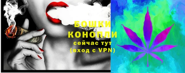 винт Белокуриха