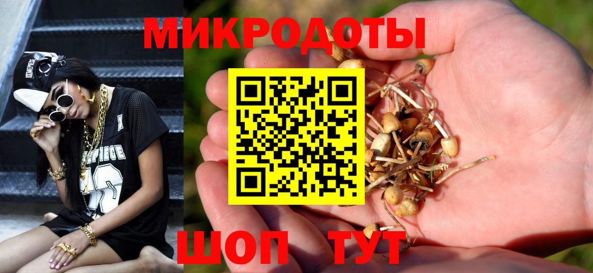 Галлюциногенные грибы мицелий  купить  сайты  Белогорск  Вход с VPN 